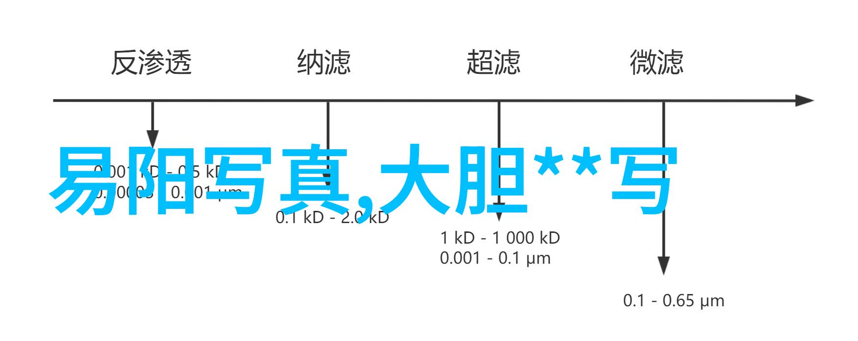 汶川地震逆时光的回响