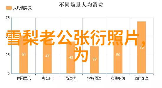 两岸合并后新国旗国号 - 和平统一下的未来象征探索两岸合并后的新国旗与国号