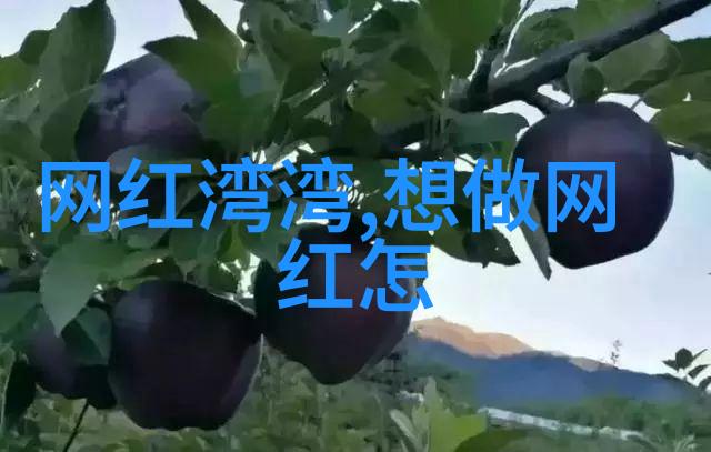 时尚健康-精致生活如何将时尚与健康完美融合