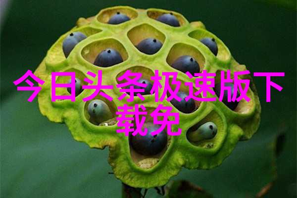 数字之谜解密背后的故事