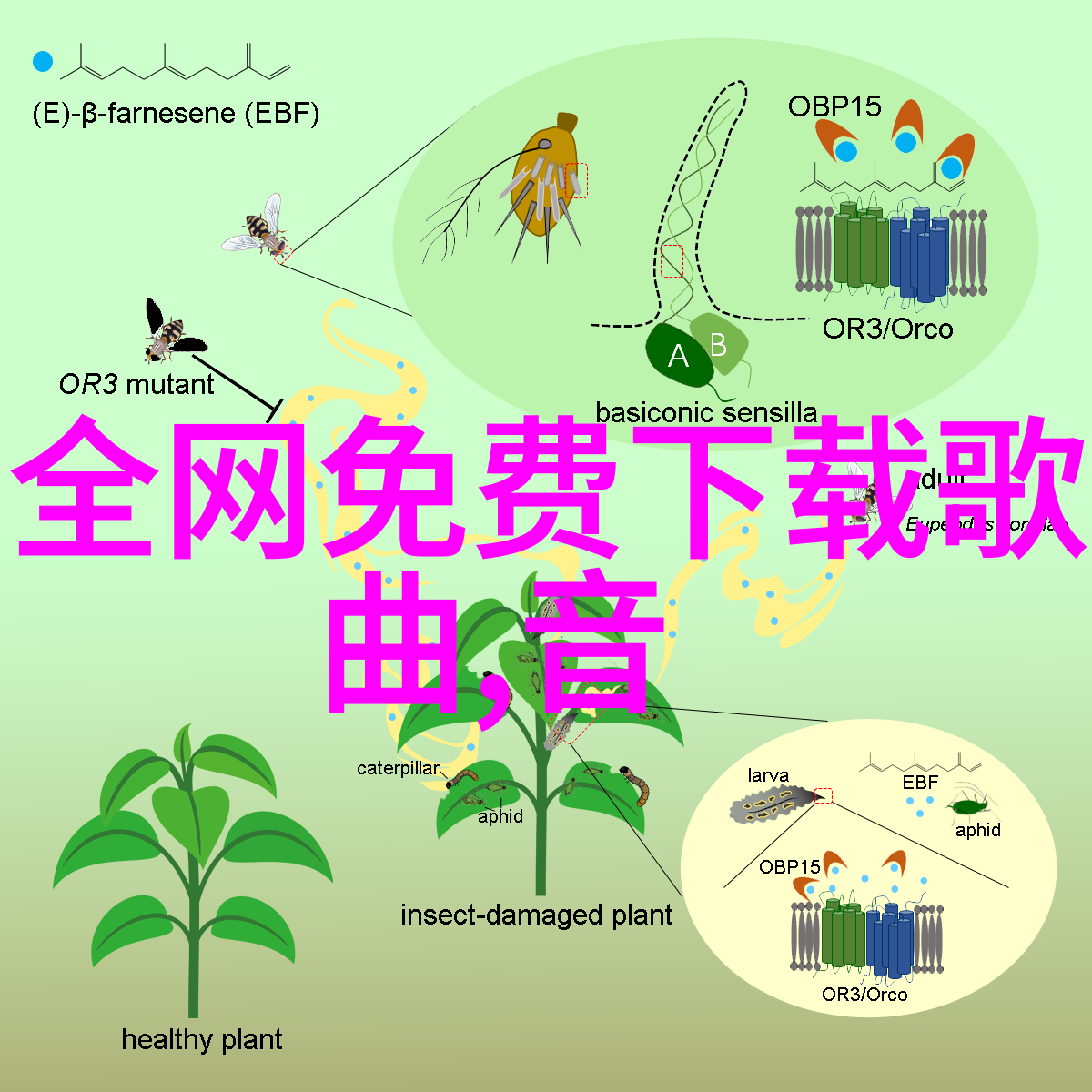 立冬图片-秋意盎然的田野立冬之际农作物丰收的壮丽景象