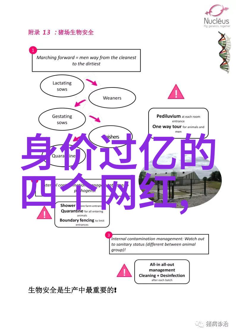 数字的力量从101开始的无限可能