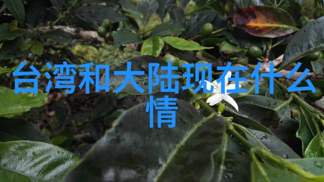 101句经典电影台词解析