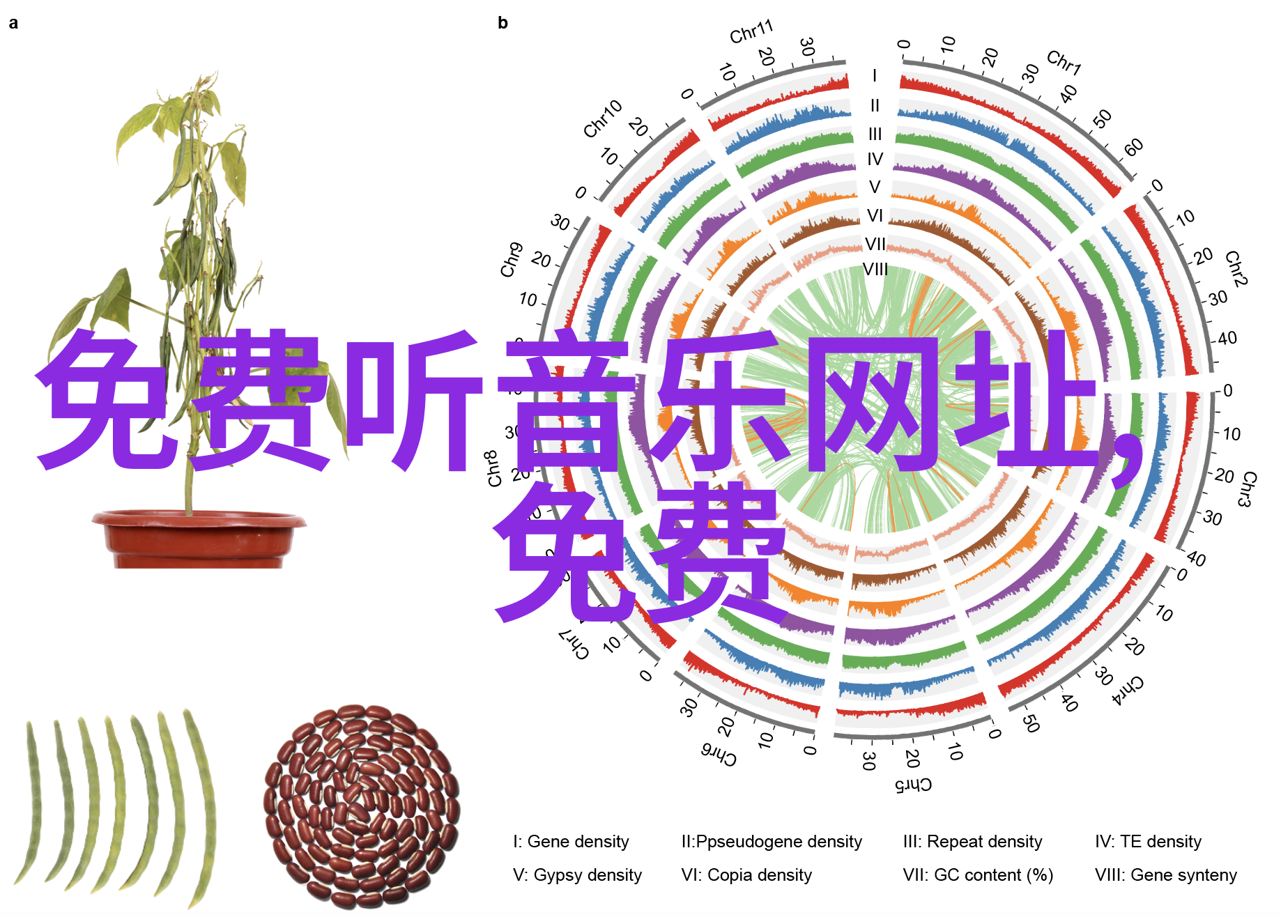 从字到音从音到意深度剖析六十四卦背诵口诀读音技巧