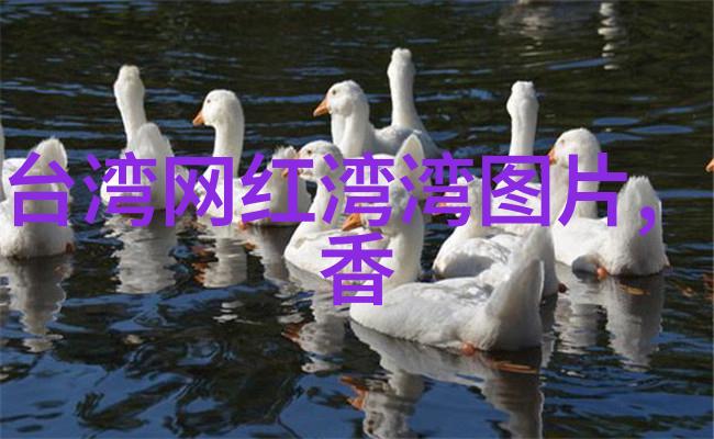 尚气导演再启航揭秘被忽视群体的CUPFOX探索