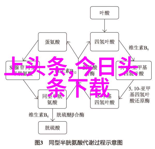 数据驱动易经女人的十大忌讳颜丙燕独自前行的原因在于