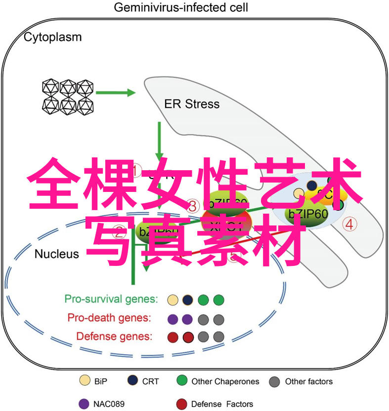 解密天地万物八卦图入门教学指南