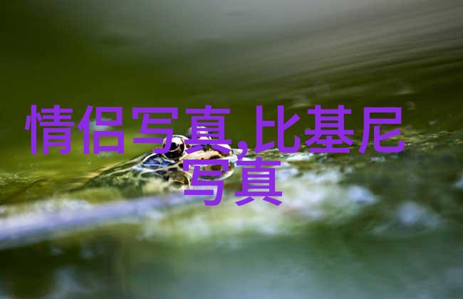 综艺风云录极限挑战的创新之路