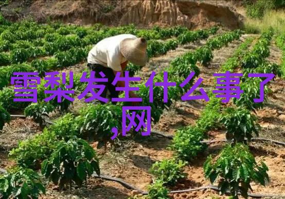 暗影编码成品影视app的秘密开发