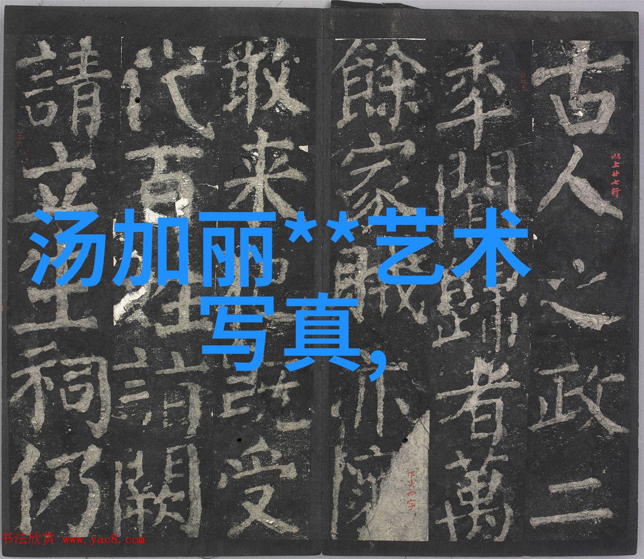 大陆的悠长舞蹈从静谧的诞生到遥远的漂移