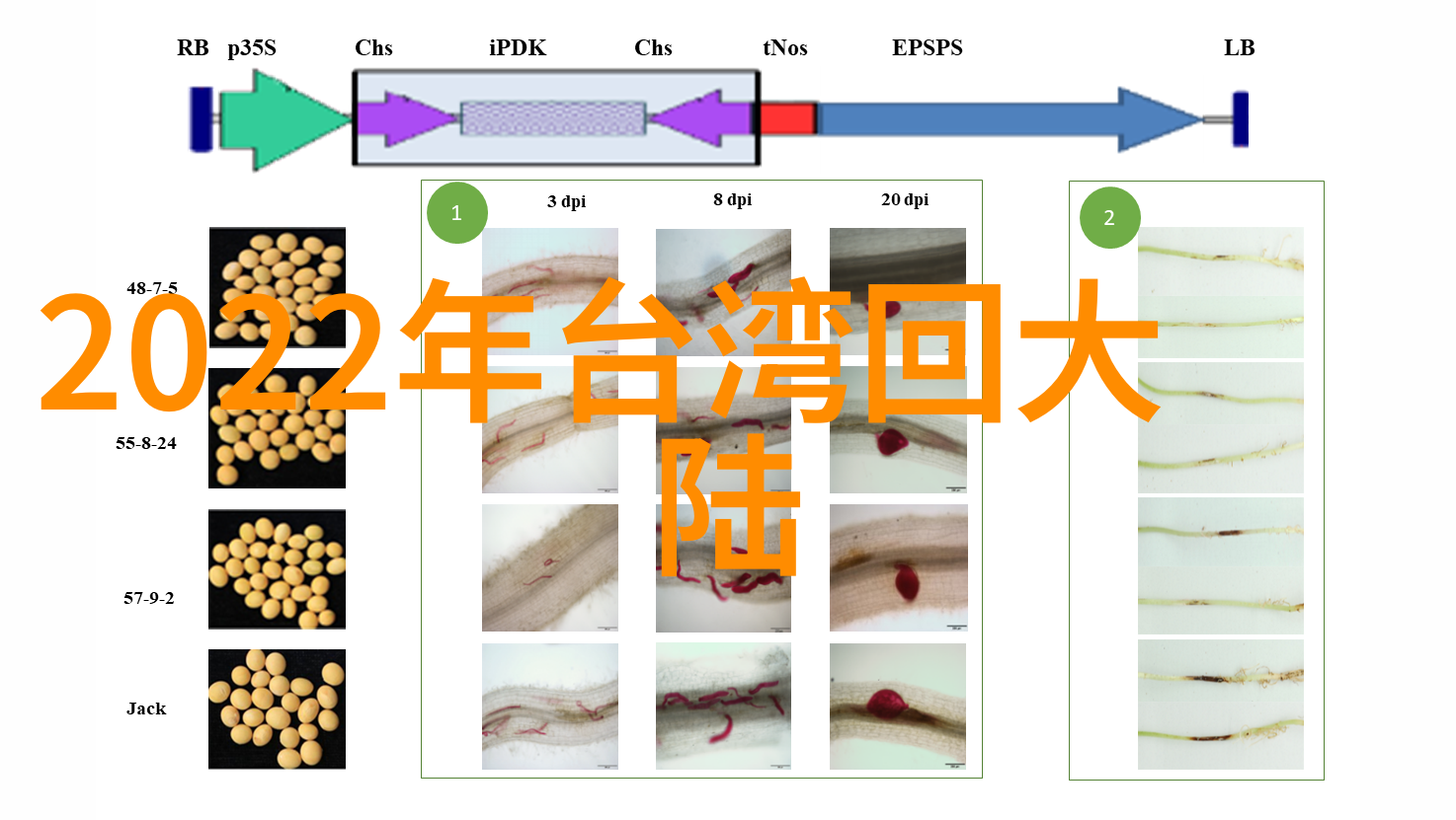 探索地理之谜揭秘世界上大陆的真实数量