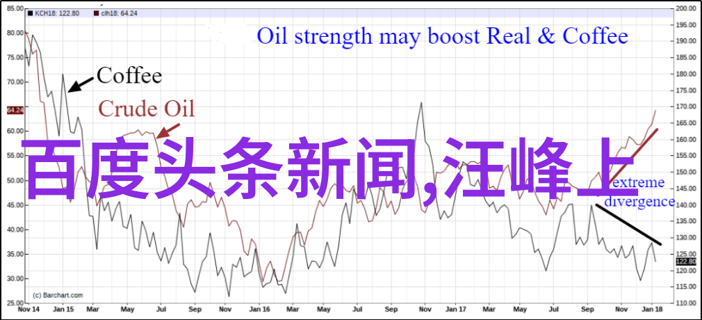 roshi如何通过照片传达情感和氛围