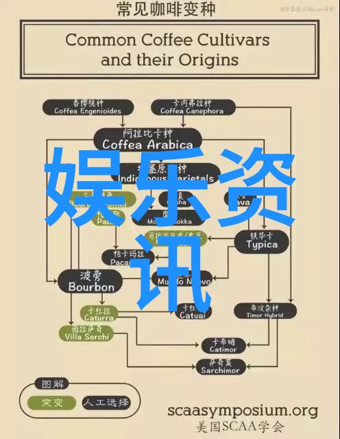 我们应该遵循哪些原则来构建一个完美的照片框架