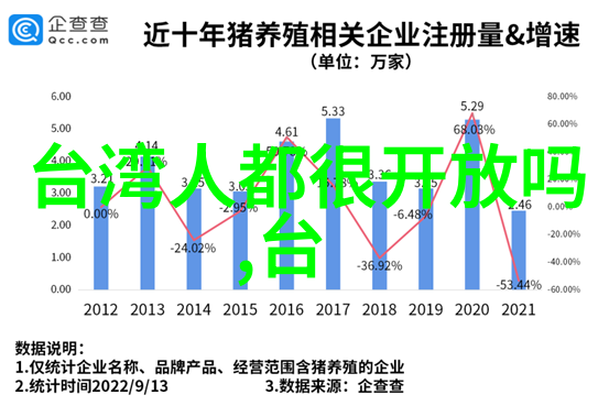 网红风尚-网红雪梨的整容之旅从平凡到美丽