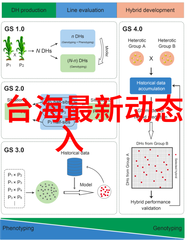 影视探秘阴影中的谜团