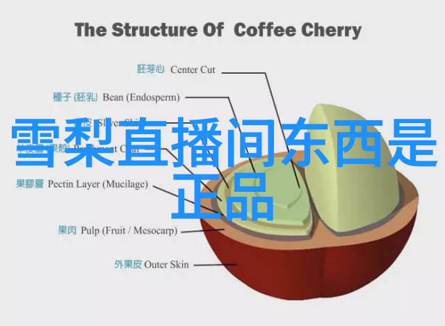 解读天地八卦的智慧与征兆