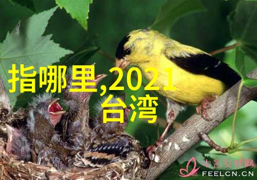 2021谁是抖音网红第一人我看了十万个视频这才确定了