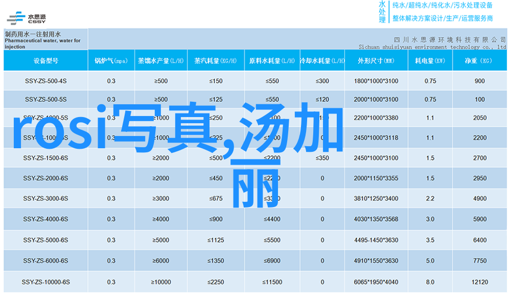 时尚芭莎纤细的高跟鞋与坚实的理想