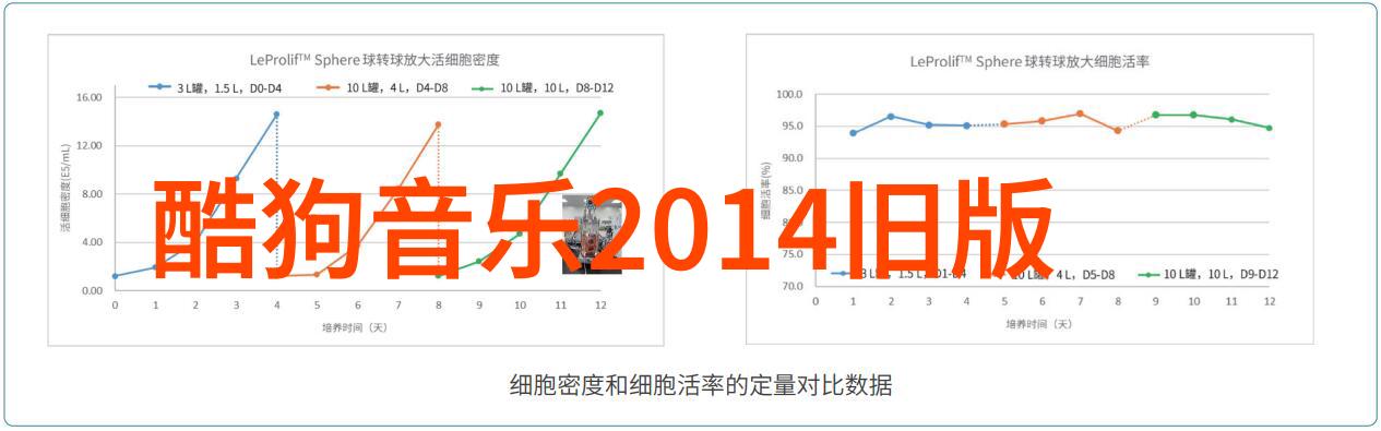 毒舌攻防战揭秘网络辩论的智慧与策略