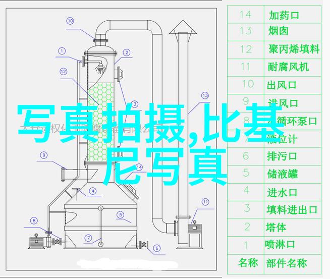 综艺节目中的执着与坚持欲罢不能的背后故事