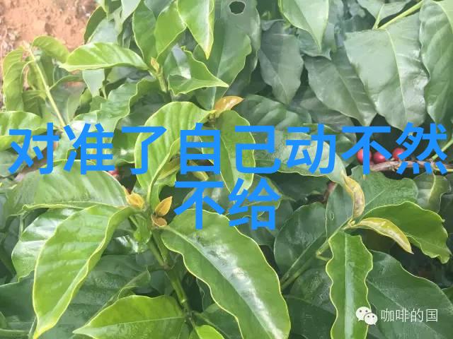 纤细肌肤下的隐秘花园