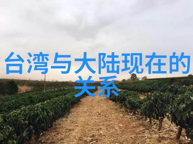 易经八卦命运的编织者生活的指南针