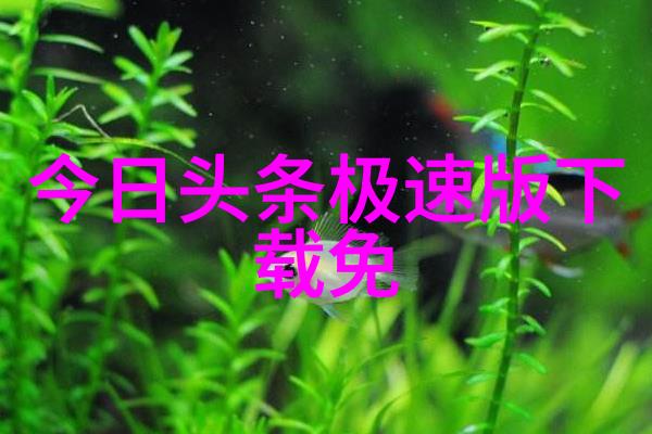 高以翔是在哪个综艺没的爱笑一哥肖旭卫视连连亮相惊喜不断