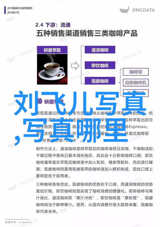 突袭行动揭秘特工如何在一小时内摧毁黑客组织的全球网络基础设施