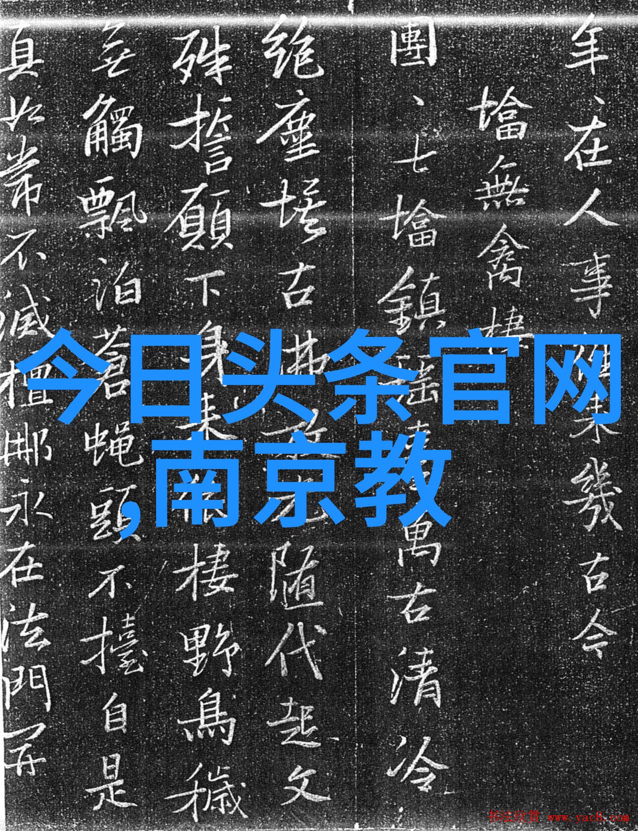 龙崽宝宝在求生综艺爆红了我家龙崽参加求生秀让人瞩目