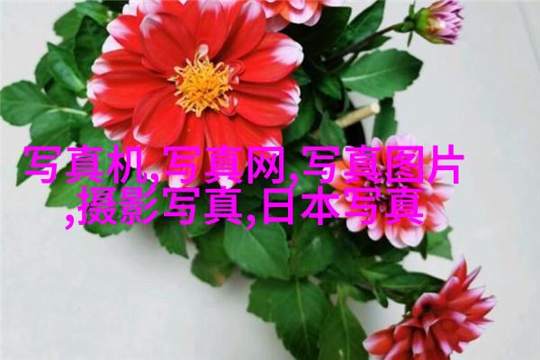 用铁勺刮脸灌肤…7天改变颧弓外扩…这些反智产物还要祸害大家多久？