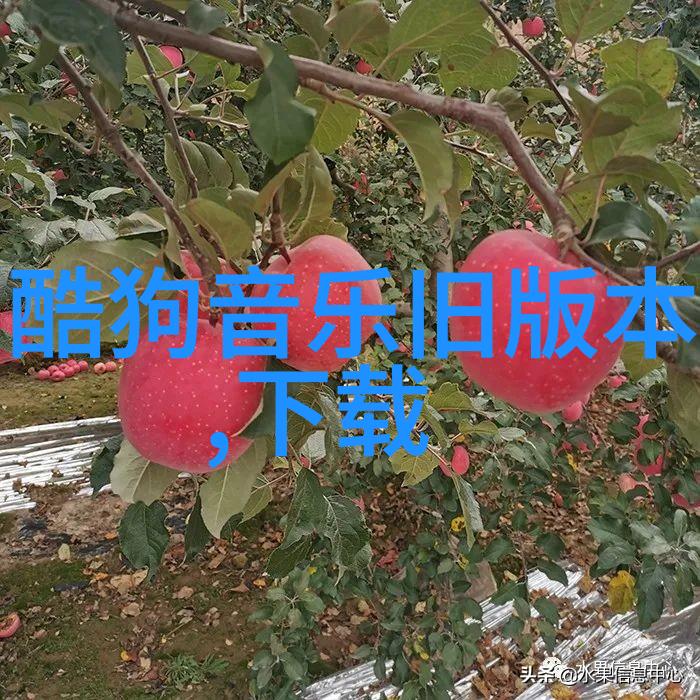 画面重现无缝链接至原图的神奇途径