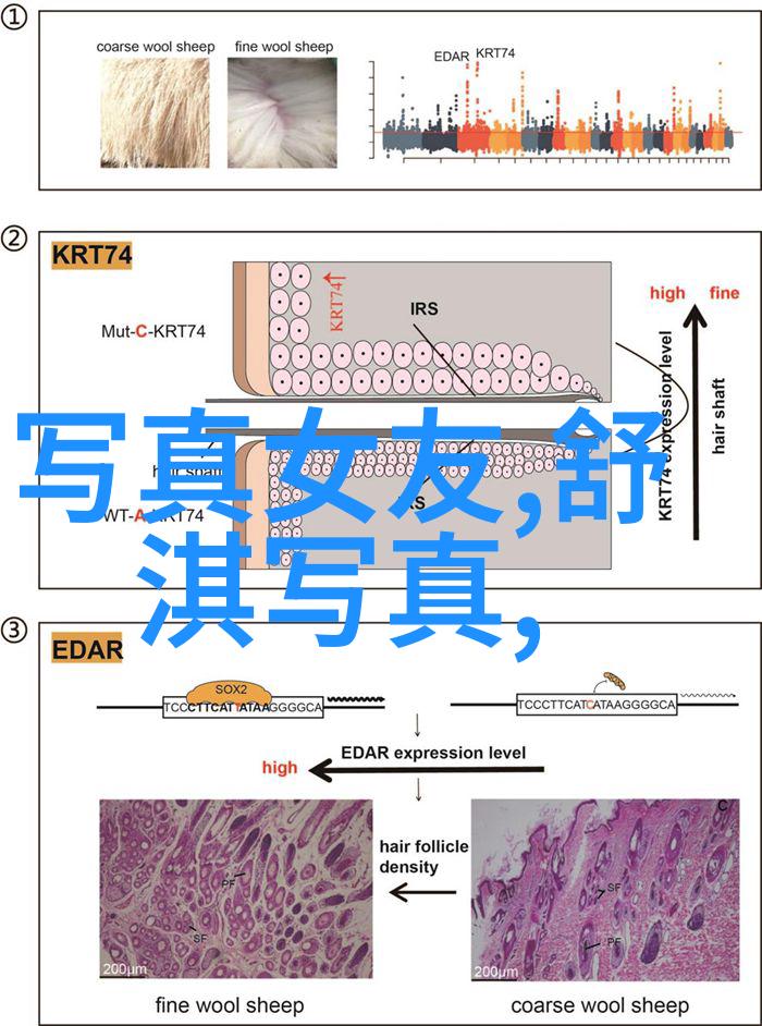 明星化妆师如何塑造完美容颜实录分享