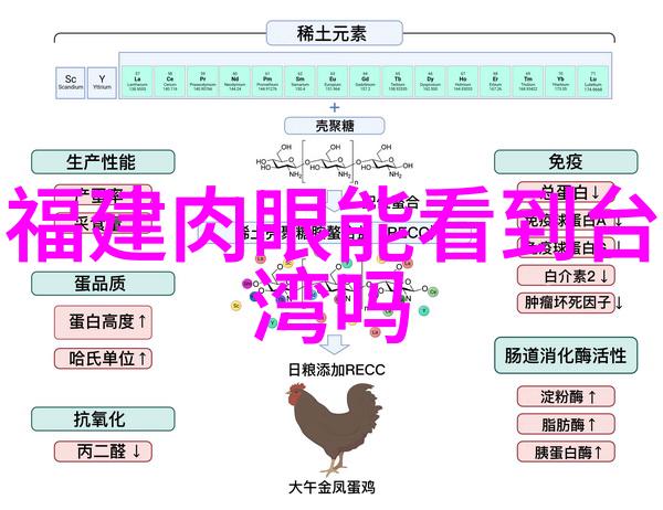 当前局势-台湾的现状稳定与挑战并存