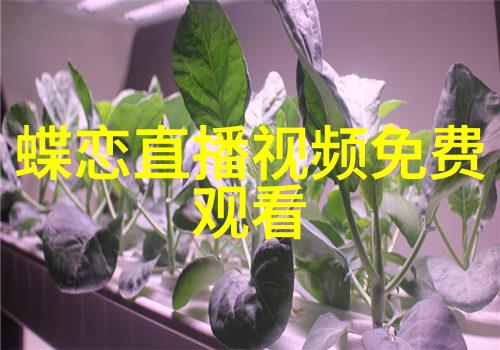 主题汤芳的写真你看到了吗