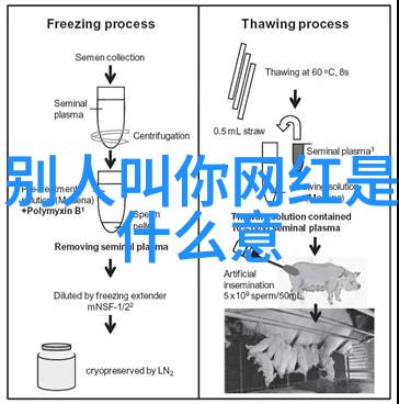 星辰变txt全集-穿梭星际揭秘未知星辰变txt全集深度解析