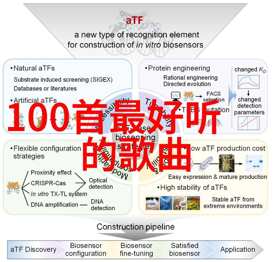 曾黎大胆抢先看米兰时尚周秀 已婚风波中展现无畏个性