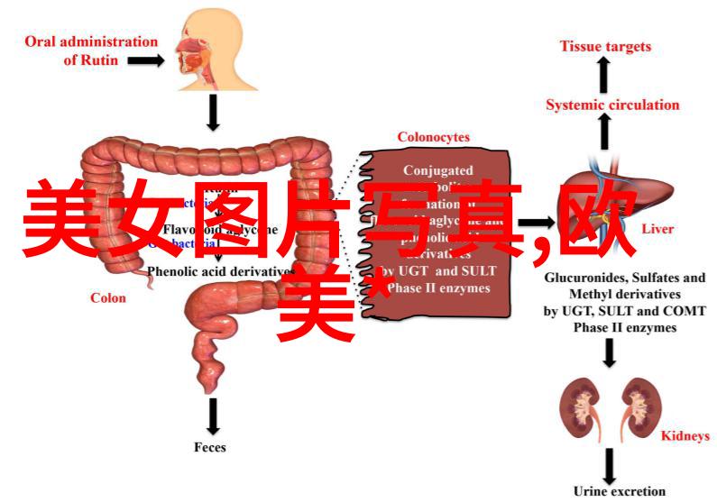 八卦爆料明星私密事件震惊娱乐圈