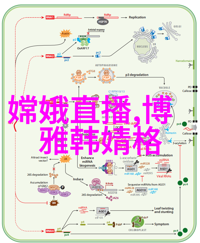 在孤独的城市角落他的影子似乎比他更孤单那些失落伤感的图片是如何映射出他心中深处的情绪呢