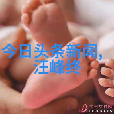 综艺节目排行榜深度分析与文化反映