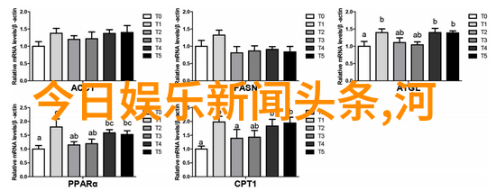 从剧本到屏幕一起欣赏编剧精心构筑的心灵世界