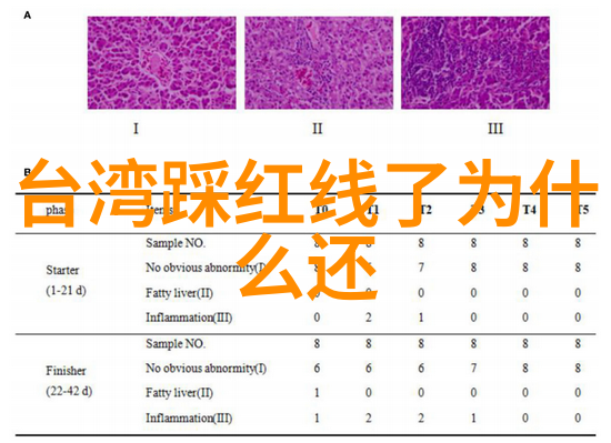 微信头条消息传递中的新篇章