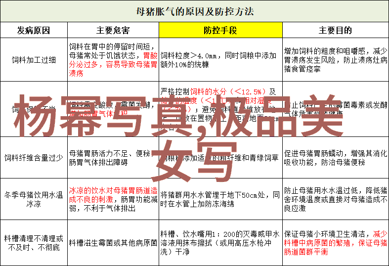 寻根问路揭秘属于哪里背后的文化与身份