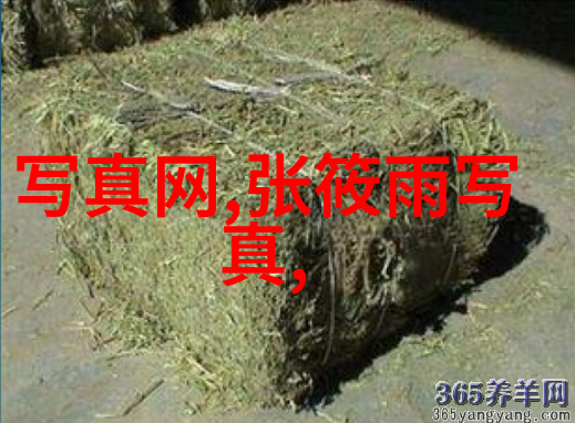 爱情与梦想的交错分手后我在娱乐圈爆红了