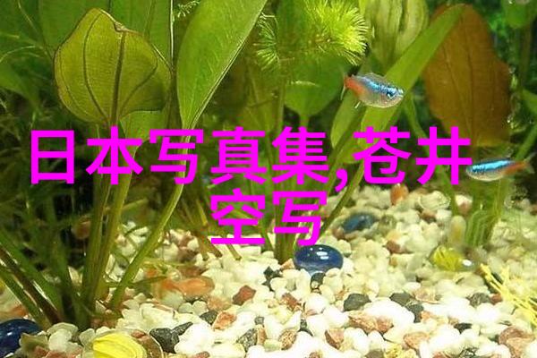 数字密码破解421pdf背后的安全机制