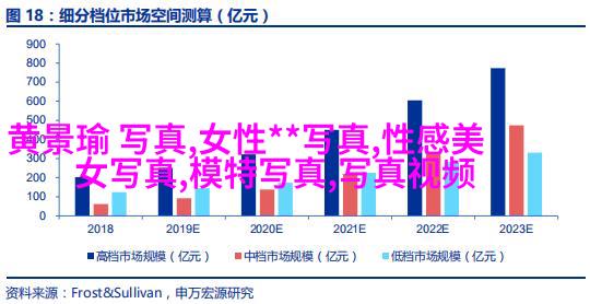 图像描述