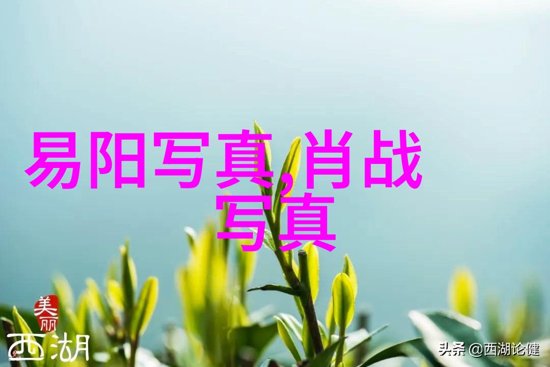 家教的高级高程中字-引领学子登峰家教高级课程中的中文字汇