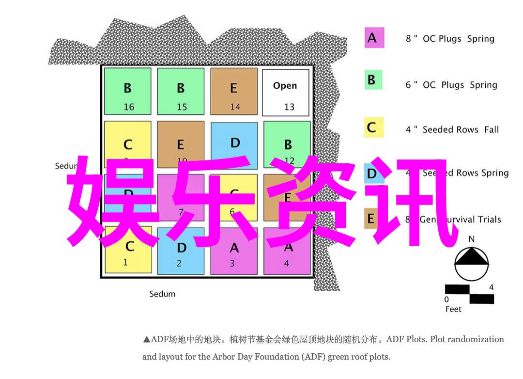 66影视文化研究解读数字时代的银幕叙事与社会反映