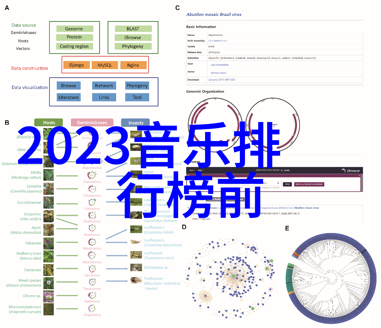 未来展望虚拟现实技术将如何改变我们的写实体验