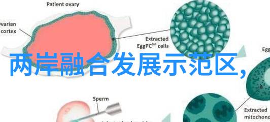 法庭上的宁静与风吹的故事