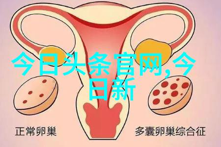 铁轨穿梭梦想之旅